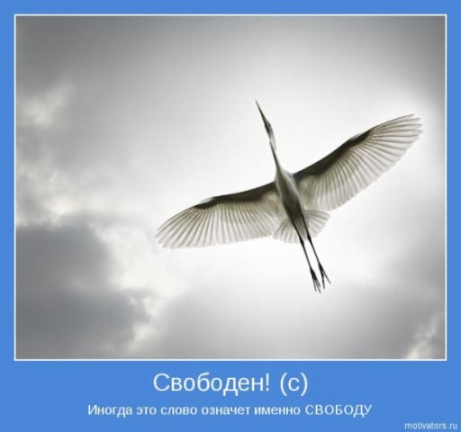 №115, Елена Прекрасная, 99 лет, Санкт-Петербург №115, Елена Прекрасная, 99 лет, Санкт-Петербург