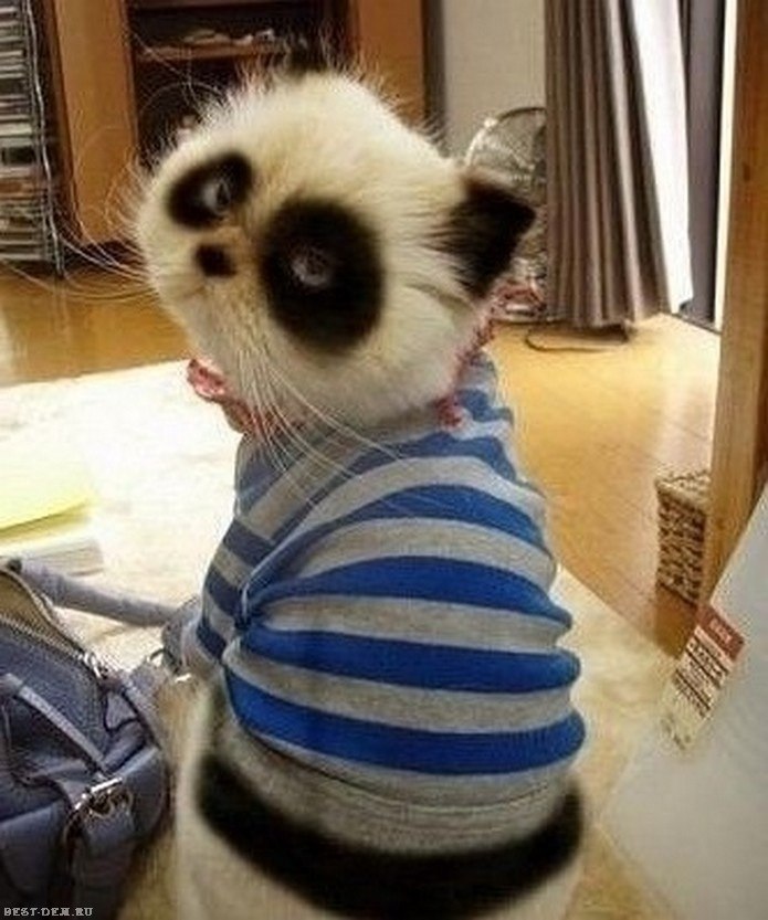 Татьяна Юдина | Балашиха