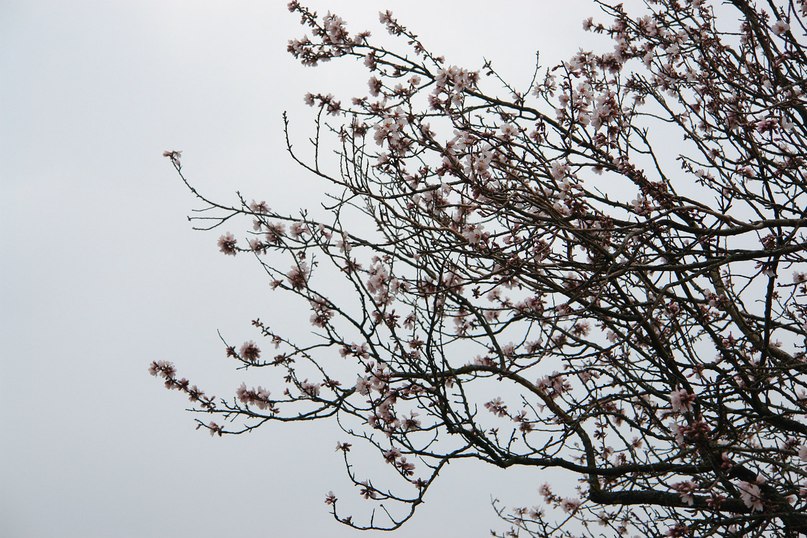 Анна Ки | Кировск