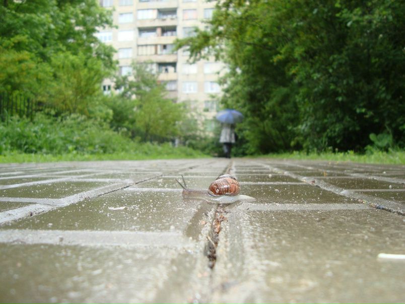 №4, Александр Сунцов, Санкт-Петербург №4, Александр Сунцов, Санкт-Петербург