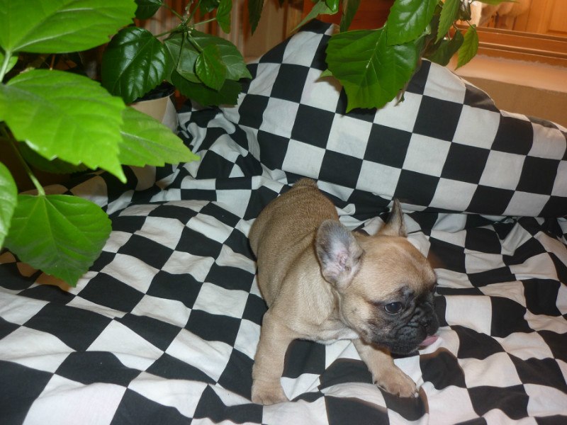 Катерина Голунга | Харьков