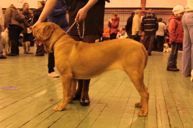 Лариса Головина | Петрозаводск