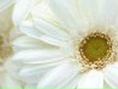 Екатерина Фокичева | Омск