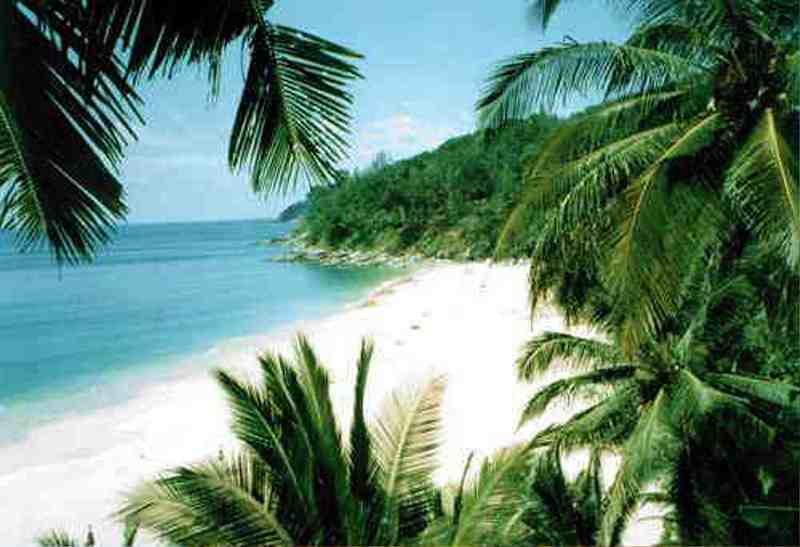 Ирина Кузина | Алатырь