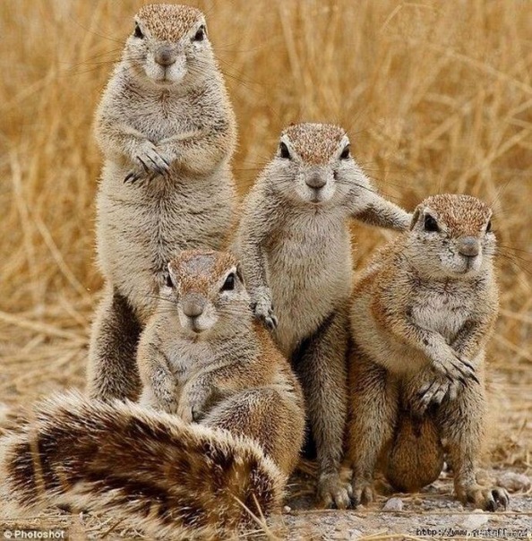 №91, Мирослав Харчук, Березно №91, Мирослав Харчук, Березно