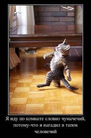 Татьяна Фомичёва | Москва