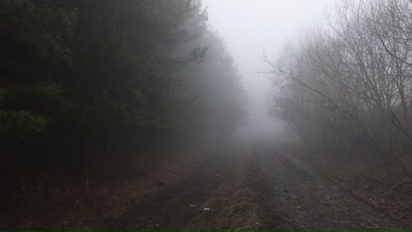 Виктория Боровик | Ростов-на-Дону