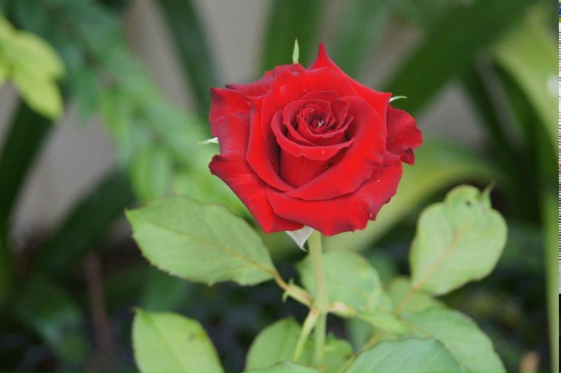 Татьяна Домрачева | Красноярск