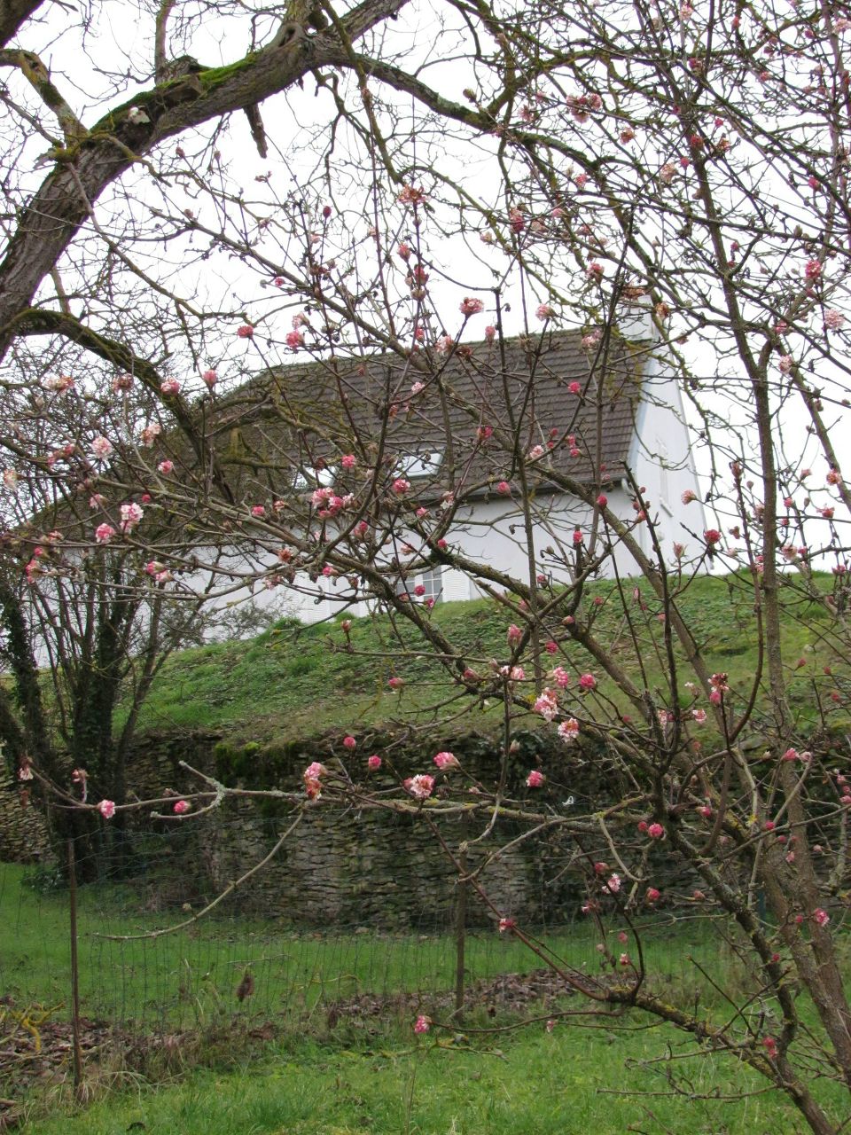 Вячеслав Патрин | Волгоград