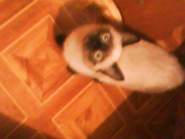 Мария Ткачёва | Казань