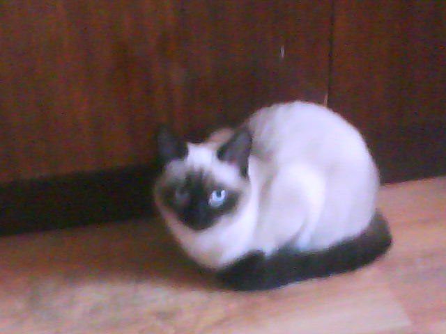 Мария Ткачёва | Казань