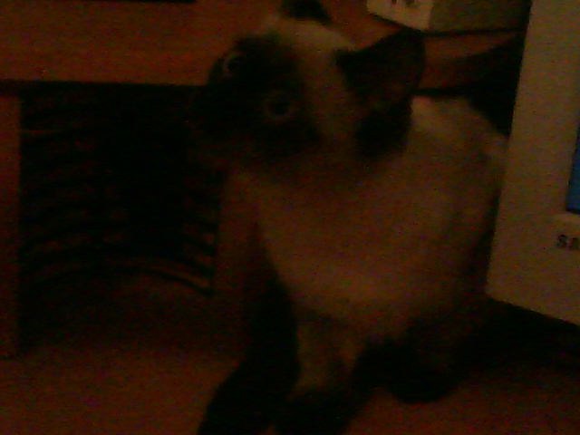 Мария Ткачёва | Казань