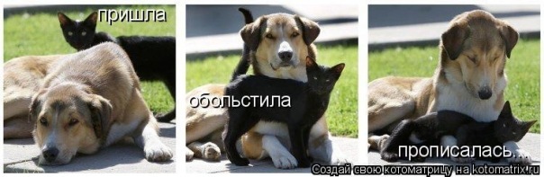 №53, Саша Сергеева, Санкт-Петербург №53, Саша Сергеева, Санкт-Петербург