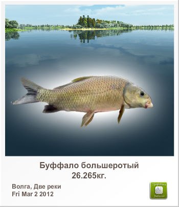 Roman Bobrik | Донецк