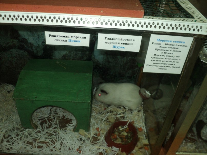 Ольга Поспелова | Вологда