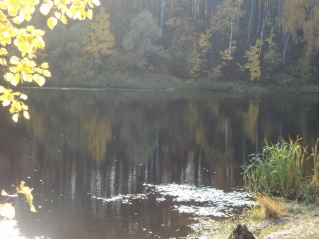 Венера Юдина | Казань