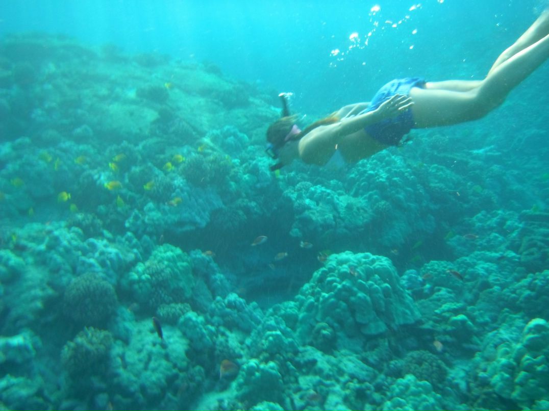 Liliya Valihun | Львов