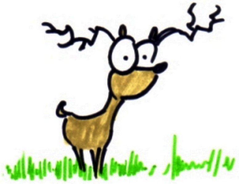 Андрей Антонов | Санкт-Петербург