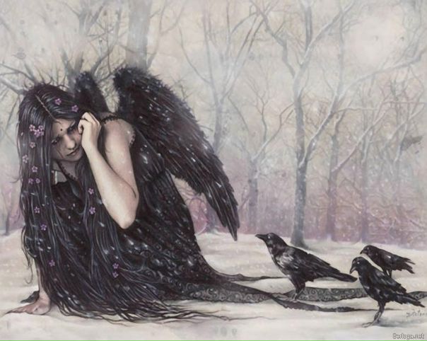 №6, Дана Псарюк-Ворона, Фастов №6, Дана Псарюк-Ворона, Фастов