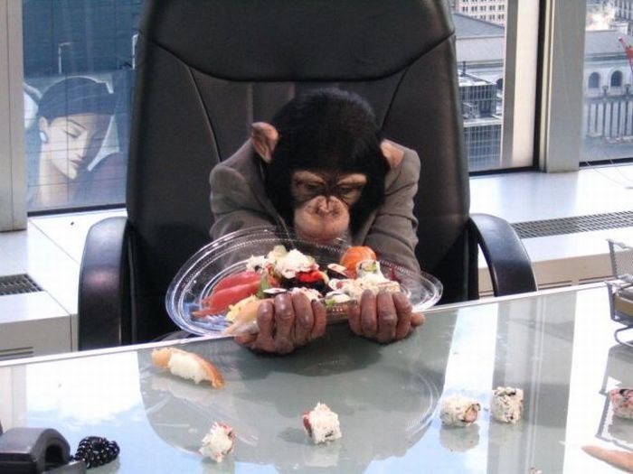 Лев Щуров | Amsterdam