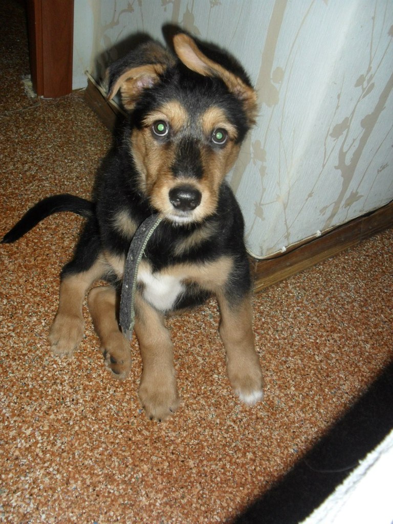 Виталия Кононова | Видное