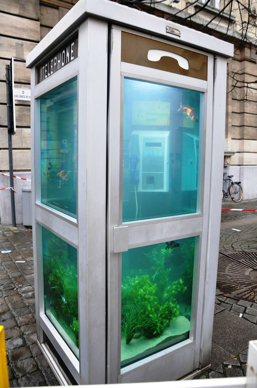 Gordon Shumway | Gent