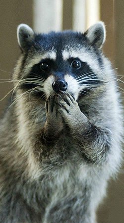 Андрей Кустов | Донецк