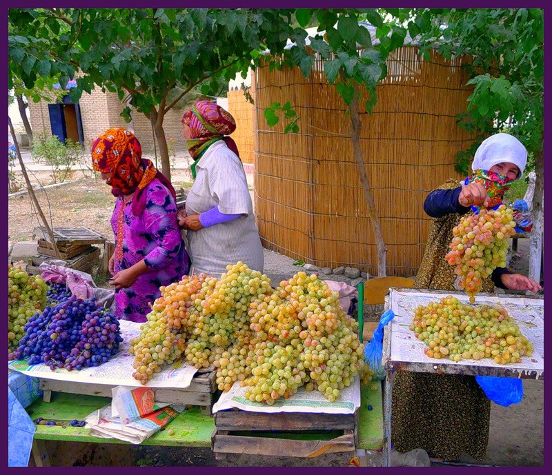 Назар Розыев | Санкт-Петербург