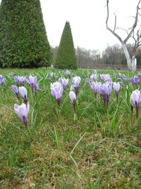 №115, Анастасия Ухова, Ярославль №115, Анастасия Ухова, Ярославль