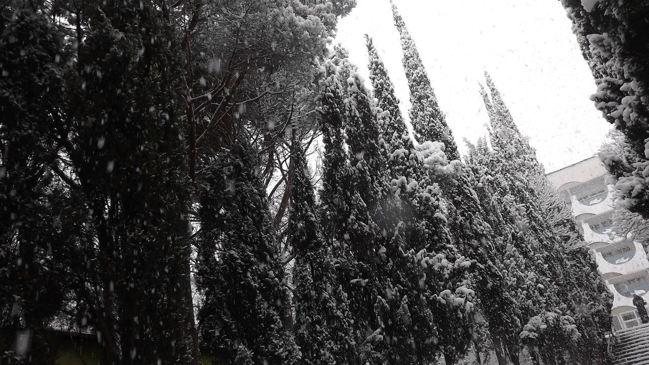 Санька Новицкий | Ялта (поселок)