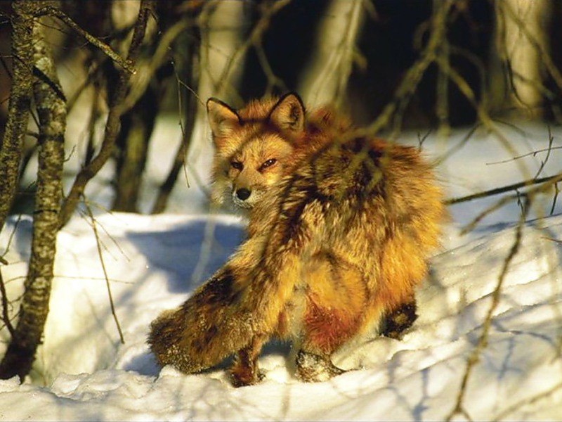 Карина Пугачёва | Калуга