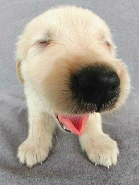 №96, Екатерина Бабий, Челябинск, Россия №96, Екатерина Бабий, Челябинск, Россия