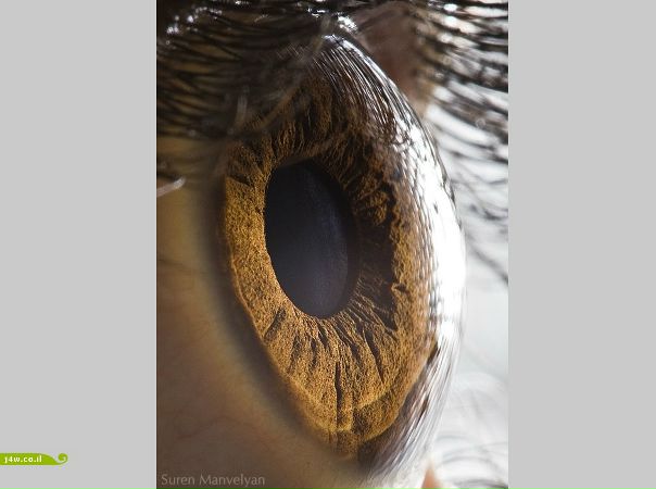 №129, Маша Назина, Москва №129, Маша Назина, Москва