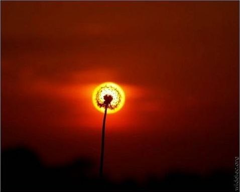 №5, Инна Фищук, 40 лет №5, Инна Фищук, 40 лет