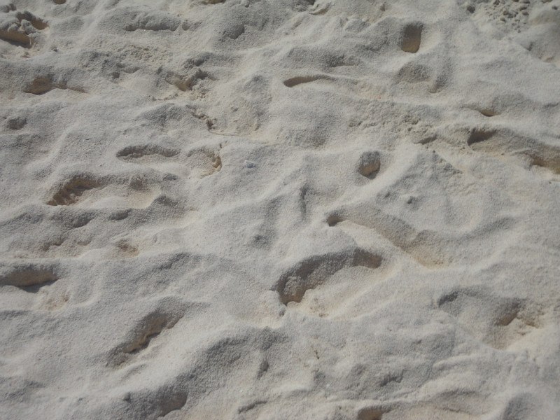 Оксана Капкина | Москва