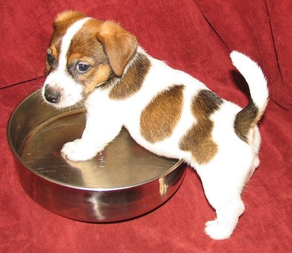 №57, Екатерина Якушкина, 36 лет, Химки, Россия №57, Екатерина Якушкина, 36 лет, Химки, Россия