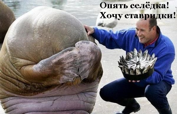 №74, Егор Кулагин, 38 лет, Москва №74, Егор Кулагин, 38 лет, Москва