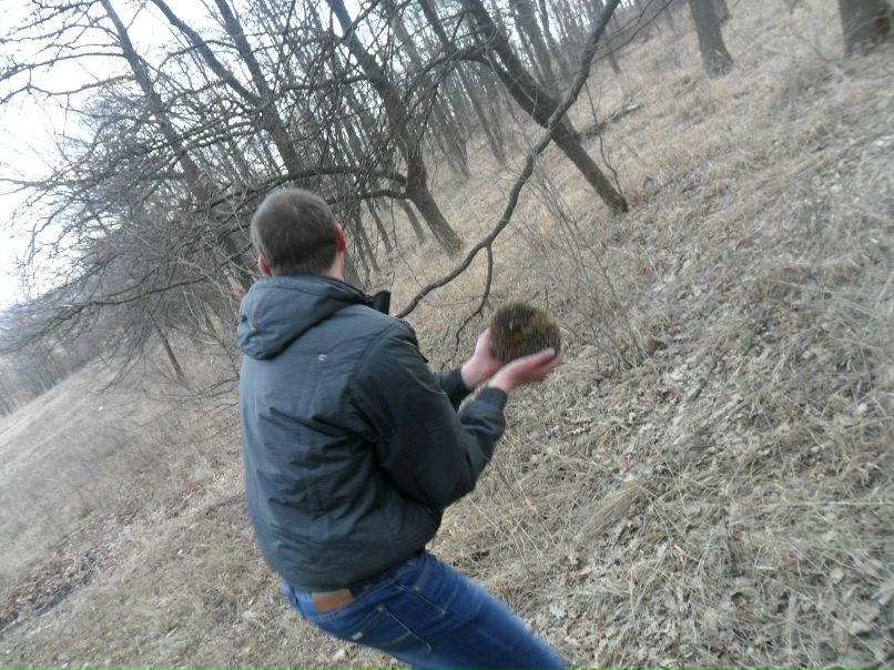 Никита Олейник | Харьков