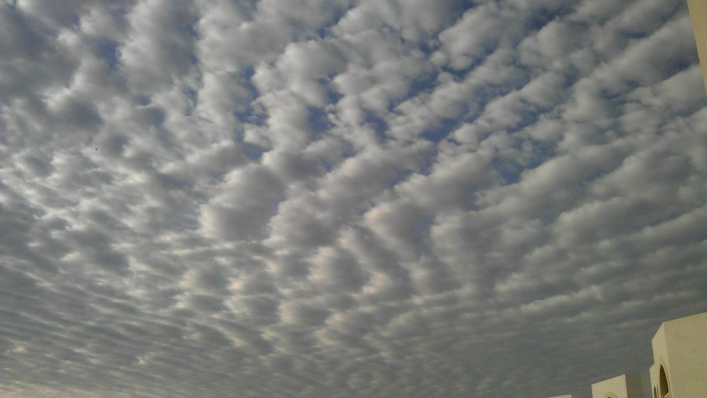 Роман Маланичев | Москва