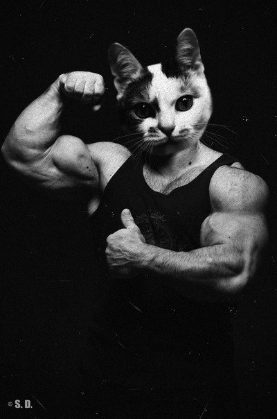 Илья Фёдоров | Москва