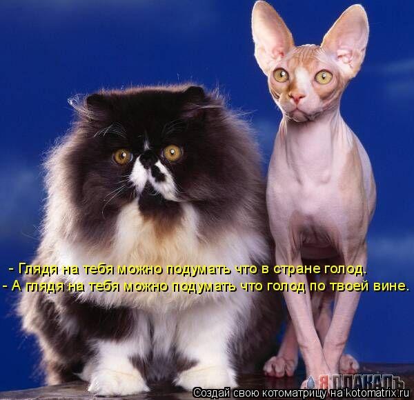 Денис Бахтиев | Нефтекамск