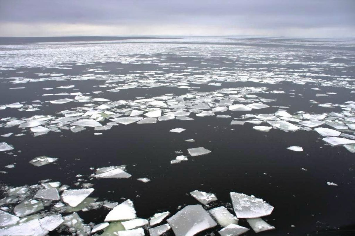 Стася Молчанинова | Москва