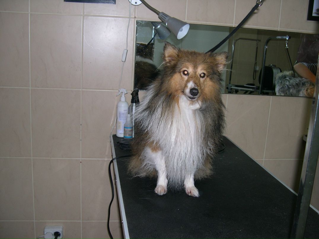 Светлана Орлова | Тула