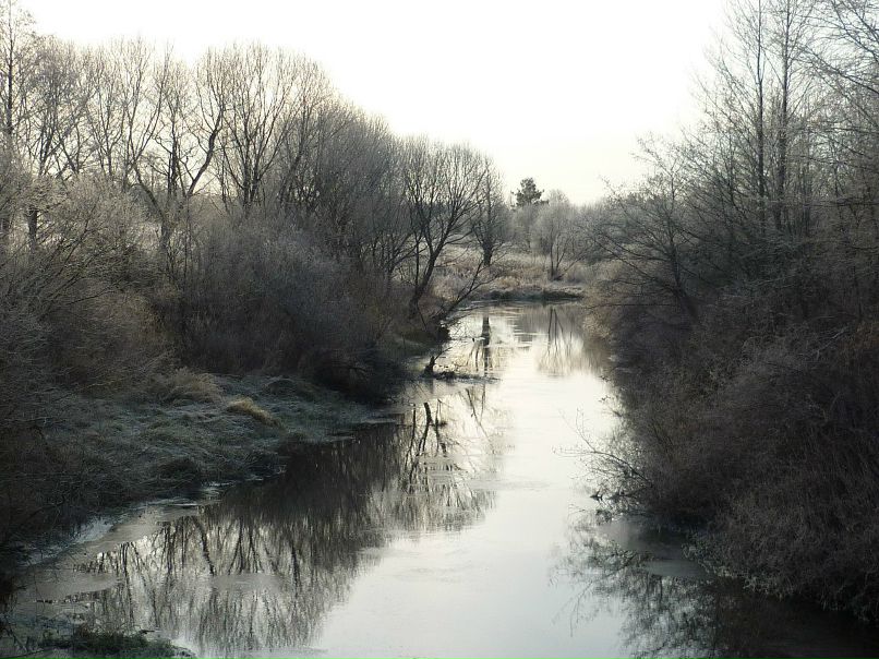Татьяна Устиненко-Прокушина | Санкт-Петербург