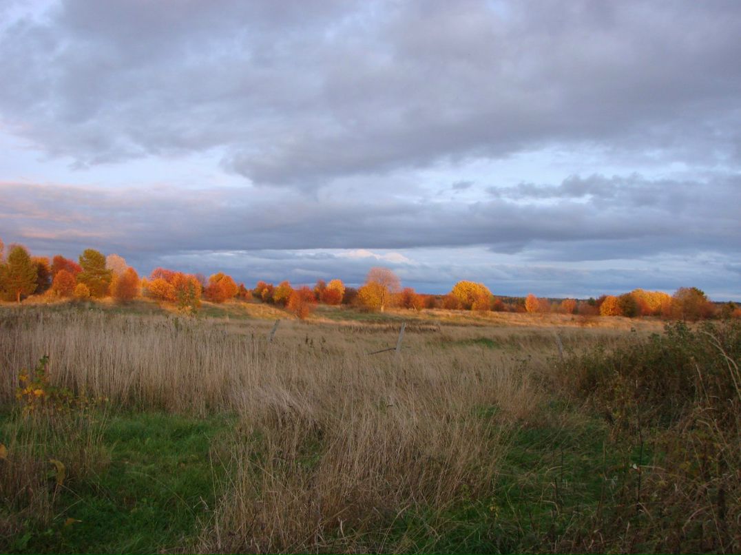 Евгений Осипов | Петрозаводск