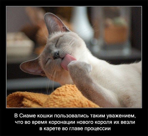 Ирина Окулова | 