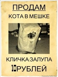 Сергей Гранаткин Александрович | Москва