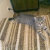 Аватар: Саша Саша
