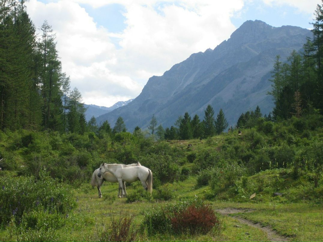 Макс Жуков | 