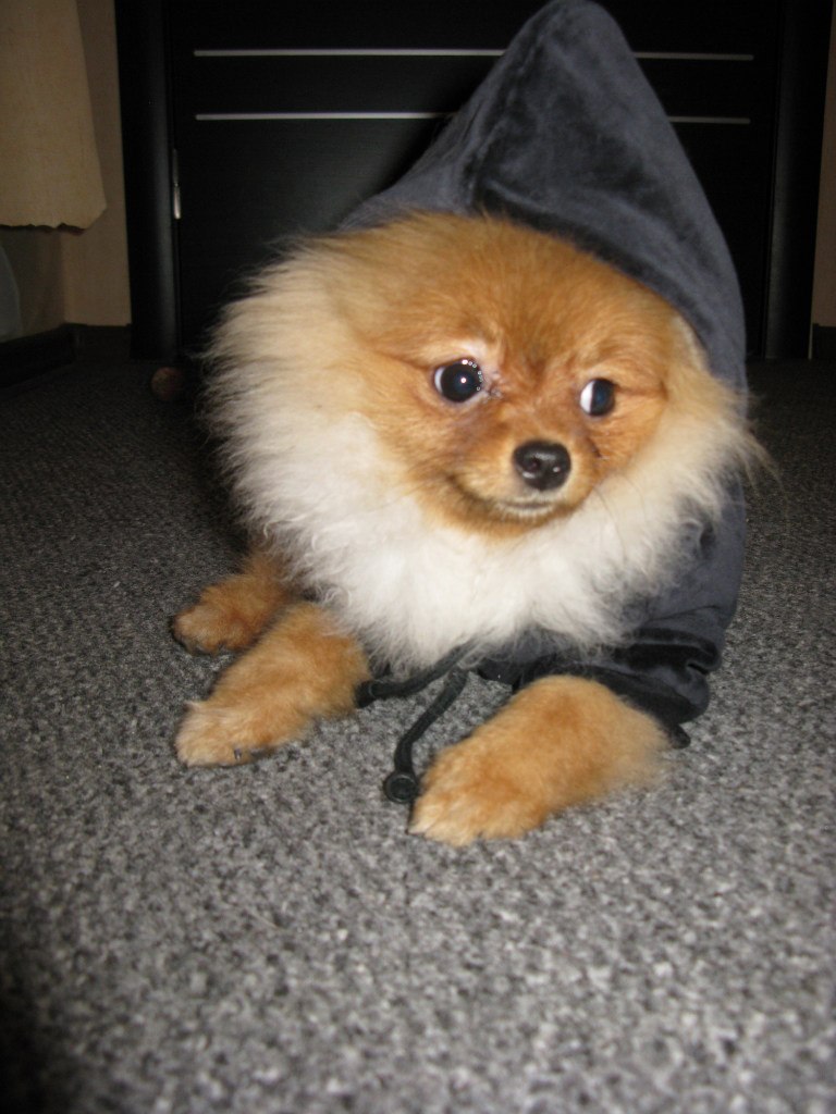 Диана Пикулина | Санкт-Петербург